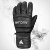 Auclair Son of T4 Glove - Dash Racegear 