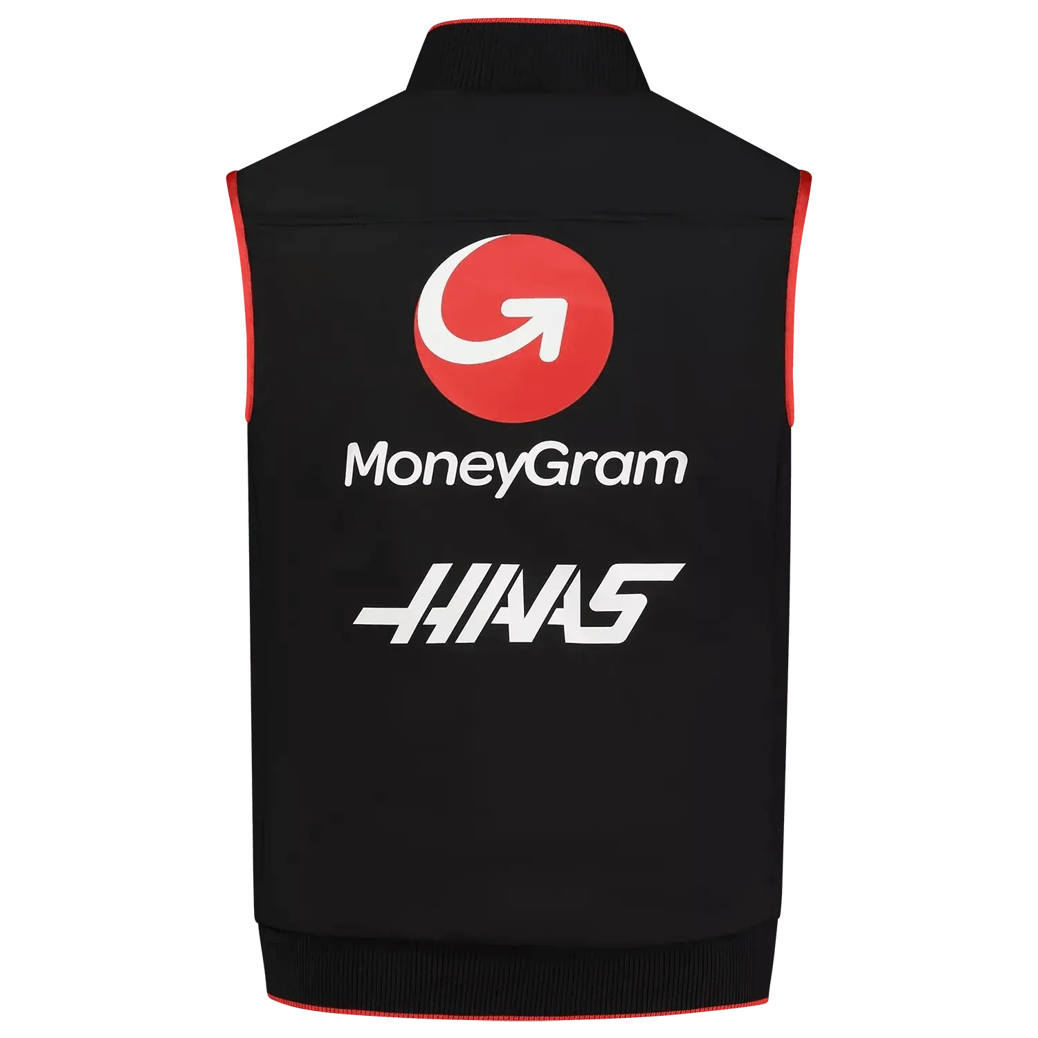  Haas F1 Team DASH RACEGEAR